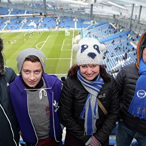 Brighton and Hove Albion FC: Electric Atmosphere - Crowd Shots from The Amex Stadium (2012-2013)