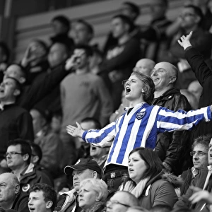 Brighton and Hove Albion FC: Electric Atmosphere in the Stands - Away Days 2012-13