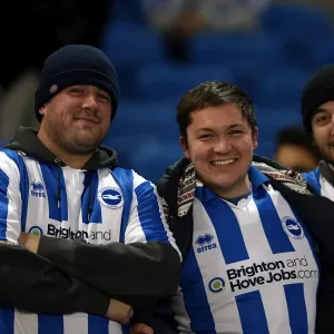 Brighton & Hove Albion FC: Electric Atmosphere at the Amex (2012-2013)