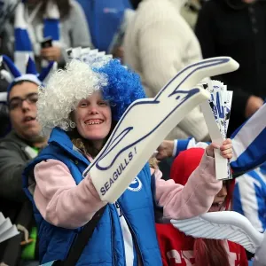 Brighton & Hove Albion FC: Electric Atmosphere at The Amex (2012-2013) Brighton & Hove Albion FC: Electric Atmosphere at The Amex (2012-2013)
