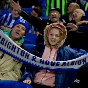 Brighton & Hove Albion FC: Electric Atmosphere at the Amex Stadium (2012-2013) Brighton & Hove Albion FC: Electric Atmosphere at the Amex Stadium (2012-2013)
