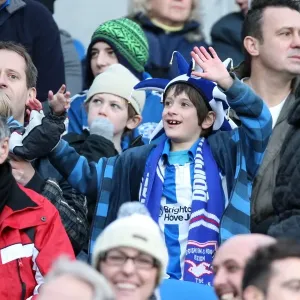 Brighton & Hove Albion FC: Electric Atmosphere at The Amex - Unforgettable Crowd Moments (2011-2012) Brighton & Hove Albion FC: Electric Atmosphere at The Amex - Unforgettable Crowd Moments (2011-2012)