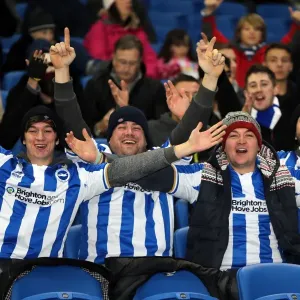 Brighton & Hove Albion FC: Electric Atmosphere - Crowd Shots at The Amex (2012-2013)