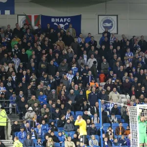 Brighton and Hove Albion FC: Electric Atmosphere as Fans Roar for Victory vs. Wigan Athletic in Sky Bet Championship (4 November 2014) Brighton and Hove Albion FC: Electric Atmosphere as Fans Roar for Victory vs. Wigan Athletic in Sky Bet Championship (4 November 2014)