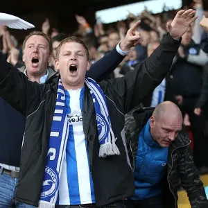 Brighton and Hove Albion FC: Electrifying Away Days 2012-13 - Passionate Crowd Shots