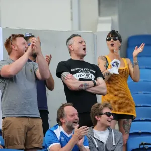 Brighton and Hove Albion FC Fans in Action during Sevilla FC Pre-season Friendly, 2015 Brighton and Hove Albion FC Fans in Action during Sevilla FC Pre-season Friendly, 2015