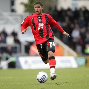 Brighton & Hove Albion FC: Liam Bridcutt in Action Brighton & Hove Albion FC: Liam Bridcutt in Action