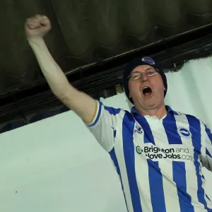 Brighton and Hove Albion FC: Top Moments of Unforgettable Away Days 2012-13 Brighton and Hove Albion FC: Top Moments of Unforgettable Away Days 2012-13