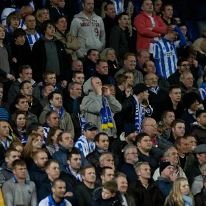 Brighton & Hove Albion FC: North Stand Fans in Action during the Championship Match vs. Reading (April 10, 2012) Brighton & Hove Albion FC: North Stand Fans in Action during the Championship Match vs. Reading (April 10, 2012)