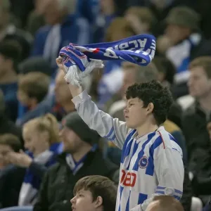 Brighton & Hove Albion FC: Passionate Fan Amidst the Action against Fulham (29NOV14)