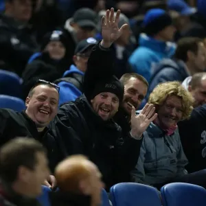 Brighton and Hove Albion FC: Passionate Fans in Action during the Sky Bet Championship Match vs. Wigan Athletic (November 2014) Brighton and Hove Albion FC: Passionate Fans in Action during the Sky Bet Championship Match vs. Wigan Athletic (November 2014)