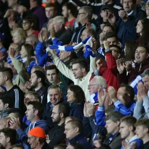 Brighton and Hove Albion FC: Triumphant Sea of Celebration vs. Bournemouth in SkyBet Championship (November 2014) Brighton and Hove Albion FC: Triumphant Sea of Celebration vs. Bournemouth in SkyBet Championship (November 2014)