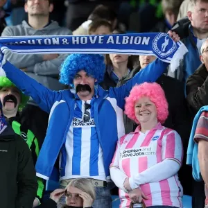 Brighton and Hove Albion FC: Unforgettable Away Day Crowd Moments (2012-2013)