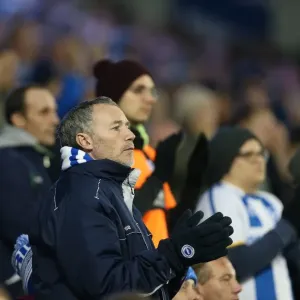 Brighton and Hove Albion FC: Unwavering Fan Support in Sky Bet Championship Clash vs. Wigan Athletic (November 2014) Brighton and Hove Albion FC: Unwavering Fan Support in Sky Bet Championship Clash vs. Wigan Athletic (November 2014)