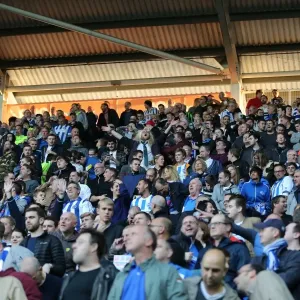 Brighton and Hove Albion FC: Unwavering Passion of Fans at Reading Championship Match, October 2015 Brighton and Hove Albion FC: Unwavering Passion of Fans at Reading Championship Match, October 2015