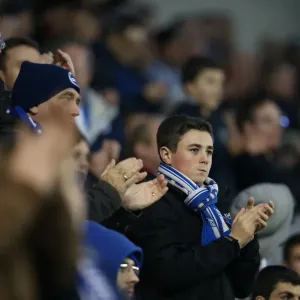 Brighton and Hove Albion FC: Unwavering Support in Sky Bet Championship Clash vs. Wigan Athletic (November 2014) Brighton and Hove Albion FC: Unwavering Support in Sky Bet Championship Clash vs. Wigan Athletic (November 2014)