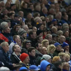 Brighton and Hove Albion FC: Unwavering Support Against Wigan Athletic in the Sky Bet Championship (November 2014) Brighton and Hove Albion FC: Unwavering Support Against Wigan Athletic in the Sky Bet Championship (November 2014)