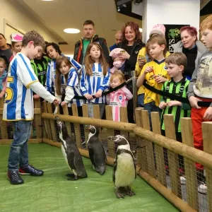 Brighton & Hove Albion FC: Young Seagulls Christmas Party 2013 Brighton & Hove Albion FC: Young Seagulls Christmas Party 2013