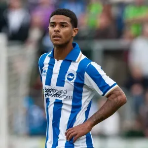 Brighton & Hove Albion: In Focus - Liam Bridcutt Brighton & Hove Albion: In Focus - Liam Bridcutt