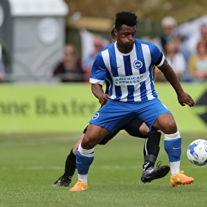 Brighton and Hove Albion Take on Lewes in Pre-Season Friendly (18 July 2015)