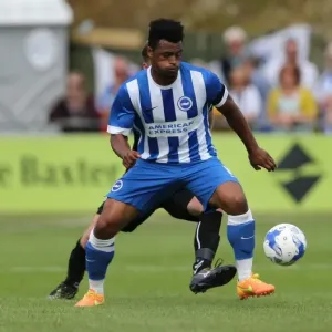 Brighton and Hove Albion Take on Lewes in Pre-Season Friendly (18 July 2015)