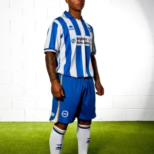Brighton & Hove Albion: Liam Bridcutt in Action Brighton & Hove Albion: Liam Bridcutt in Action