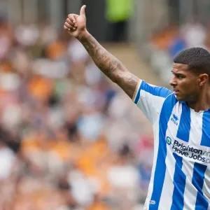 Brighton & Hove Albion: Liam Bridcutt in Action Brighton & Hove Albion: Liam Bridcutt in Action