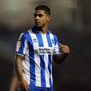 Brighton & Hove Albion: Liam Bridcutt Focused During Brighton v Bolton, Championship 2012 Brighton & Hove Albion: Liam Bridcutt Focused During Brighton v Bolton, Championship 2012