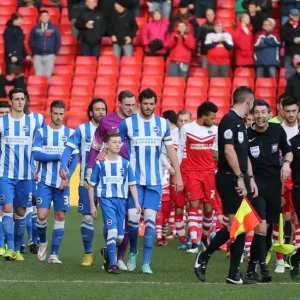 Brighton & Hove Albion Mascot at Charlton Athletic: Sky Bet Championship Clash, The Valley, 10 January 2015 Brighton & Hove Albion Mascot at Charlton Athletic: Sky Bet Championship Clash, The Valley, 10 January 2015
