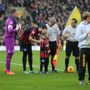 Brighton & Hove Albion Mascot Faces Off Against Norwich City's during Sky Bet Championship Clash (22NOV14) Brighton & Hove Albion Mascot Faces Off Against Norwich City's during Sky Bet Championship Clash (22NOV14)