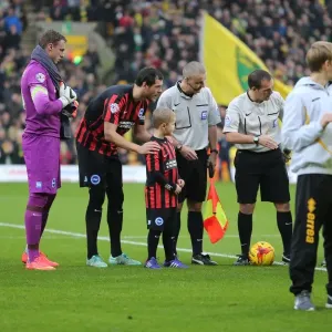 Brighton & Hove Albion Mascot at Norwich City's Carrow Road during Sky Bet Championship Match, 22nd November 2014 Brighton & Hove Albion Mascot at Norwich City's Carrow Road during Sky Bet Championship Match, 22nd November 2014