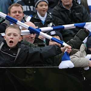 Brighton & Hove Albion: Millwall Scarf Day - A Sea of Scarves (Withdean Era Crowd Shot)