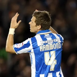 Brighton & Hove Albion: Nostalgic Home Game Review - Sheffield Wednesday (September 14, 2012) Brighton & Hove Albion: Nostalgic Home Game Review - Sheffield Wednesday (September 14, 2012)