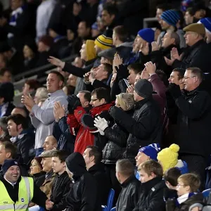 Brighton & Hove Albion: Nostalgic Home Game vs. Bristol City (2012-13 Season) Brighton & Hove Albion: Nostalgic Home Game vs. Bristol City (2012-13 Season)