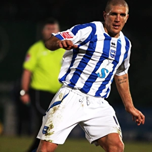 Brighton & Hove Albion: A Nostalgic Look Back at the 2009-10 Home Matches vs. Brentford