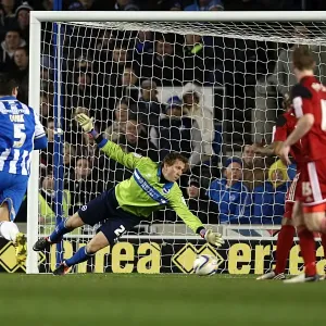 Brighton & Hove Albion: Nostalgic Review of the 2012-13 Home Game Against Bristol City Brighton & Hove Albion: Nostalgic Review of the 2012-13 Home Game Against Bristol City