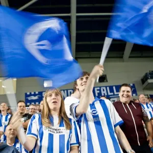 Brighton & Hove Albion: Nostalgic Review of the 2012-13 Home Game Against Cardiff City Brighton & Hove Albion: Nostalgic Review of the 2012-13 Home Game Against Cardiff City