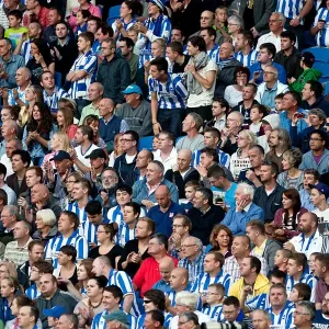 Brighton & Hove Albion: Nostalgic Review of the 2012-13 Home Game Against Cardiff City Brighton & Hove Albion: Nostalgic Review of the 2012-13 Home Game Against Cardiff City
