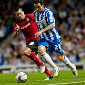 Brighton & Hove Albion: Nostalgic Review of the 2012-13 Home Game Against Cardiff City Brighton & Hove Albion: Nostalgic Review of the 2012-13 Home Game Against Cardiff City