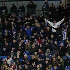 Brighton & Hove Albion: Nostalgic Review - Home Game vs. Bristol City (2012-13 Season) Brighton & Hove Albion: Nostalgic Review - Home Game vs. Bristol City (2012-13 Season)