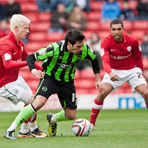 Brighton & Hove Albion at Oakwell Stadium: Vicente in Npower Championship Showdown against Barnsley (April 28, 2012)