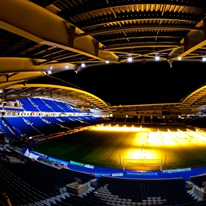 Brighton & Hove Albion: A Peek into The Amex Stadium