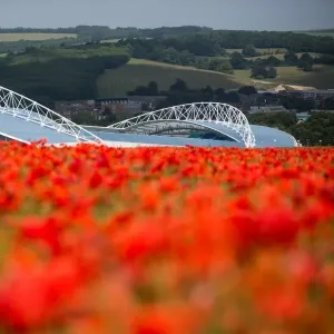 Brighton & Hove Albion: A Peek into The Amex Stadium