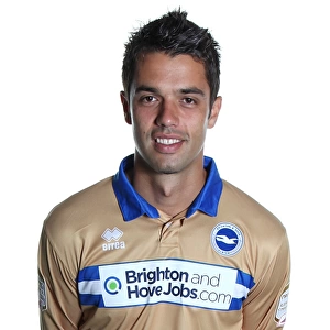 Brighton and Hove Albion: Peter Brezovan in Action
