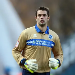 Brighton & Hove Albion: Peter Brezovan's Intense Moment on the Field Brighton & Hove Albion: Peter Brezovan's Intense Moment on the Field
