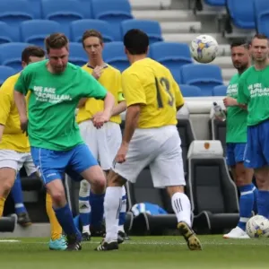 Brighton & Hove Albion: Play on the Pitch - A 2015 Match at American Express Community Stadium Brighton & Hove Albion: Play on the Pitch - A 2015 Match at American Express Community Stadium
