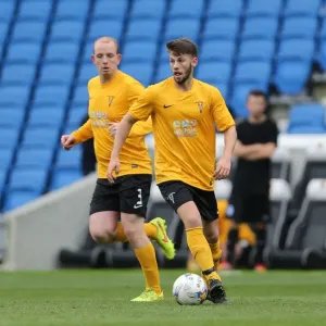 Brighton & Hove Albion: Play on the Pitch - A 2015 Moment at American Express Community Stadium Brighton & Hove Albion: Play on the Pitch - A 2015 Moment at American Express Community Stadium