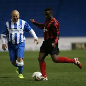 Brighton & Hove Albion: Play on the Pitch - April 27, 2015 (EVE) Brighton & Hove Albion: Play on the Pitch - April 27, 2015 (EVE)