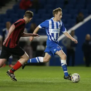 Brighton & Hove Albion: A Play on the Pitch Moment - 27 April 2015 Brighton & Hove Albion: A Play on the Pitch Moment - 27 April 2015
