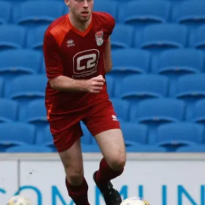 Brighton & Hove Albion: Ten Players in Action (May 1, 2015) Brighton & Hove Albion: Ten Players in Action (May 1, 2015)